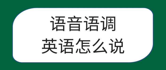 英语语音语调读